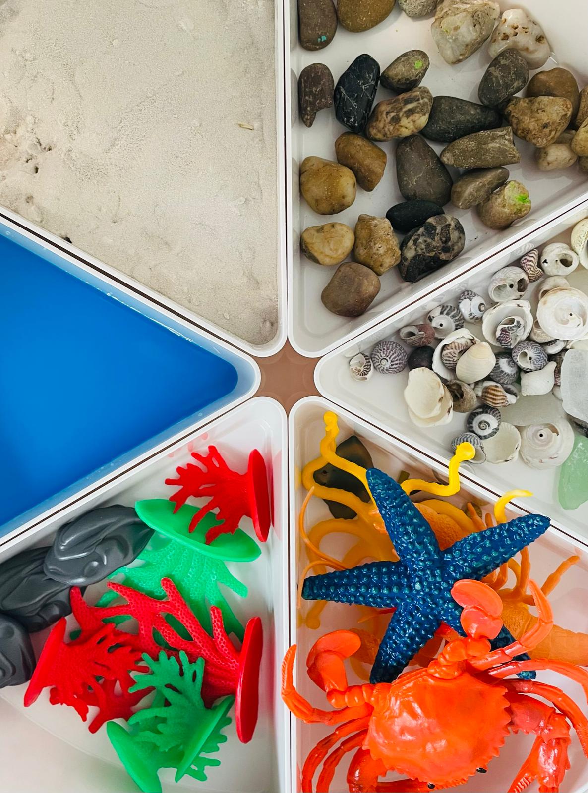 Ocean Explorers Science Workshop